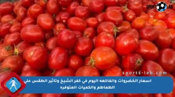 أسعار الخضروات والفاكهة اليوم في كفر الشيخ وتأثير الطقس على الطماطم والكميات المتوفرة